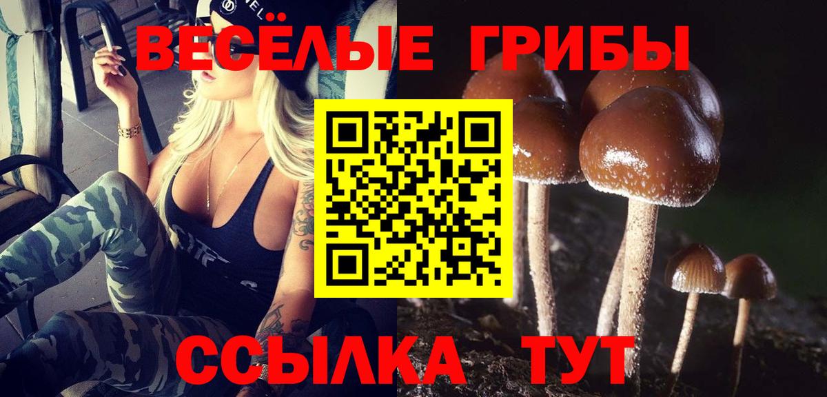 Псилоцибиновые грибы Psilocybine cubensis Обнинск
