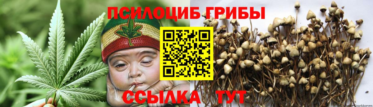 Обнинск  Галлюциногенные грибы Psilocybe  Вход с VPN  Псилоцибиновые грибы Cubensis 